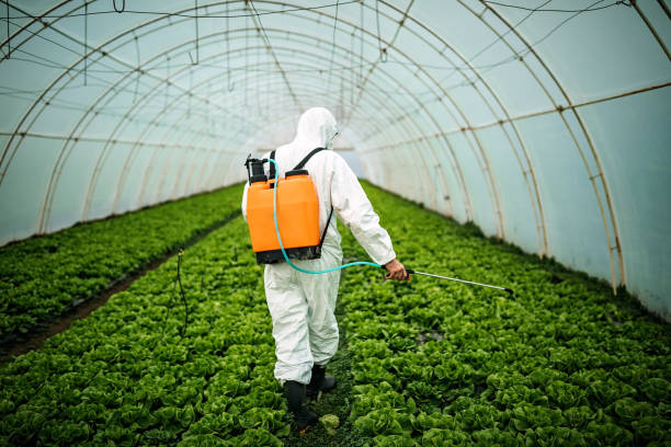 Best Pest Control for Restaurants  in Minnetrista, MN