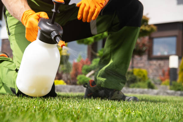 Bird Control in Minnetrista, MN