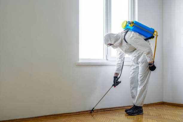 Wildlife Control Services in Minnetrista, MN