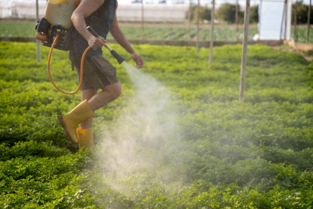 Best Commercial Pest Control Services  in Minnetrista, MN