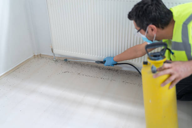 Best Pest Prevention Services  in Minnetrista, MN